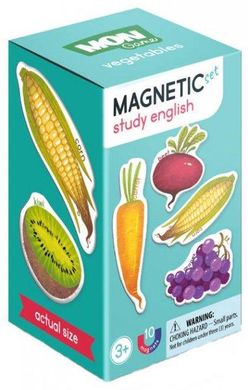 Набір магнітів Овочі Dodo 200203, магнітна гра, розвиваюча, вивчення англ., магніти, ДоДо, Mon game