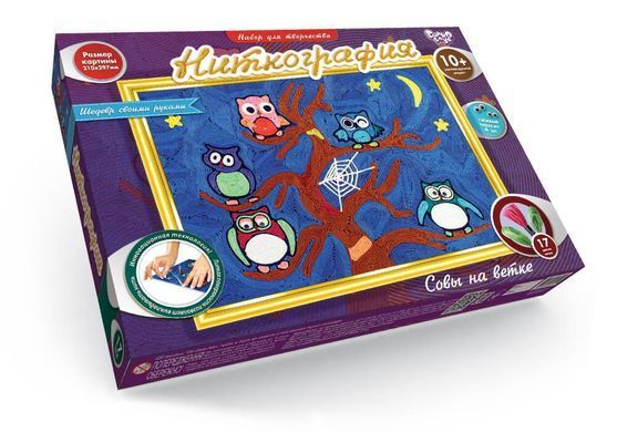 Набір для творчості Ніткографія Danko Toys NG-01-01 дитячий схема муліне рамка іграшка розвиваюча для дітей
