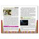 Дитяча книга Сходинки до знань. Чомучка, оповідання про все на світі, міні-енциклопедія 64 с.