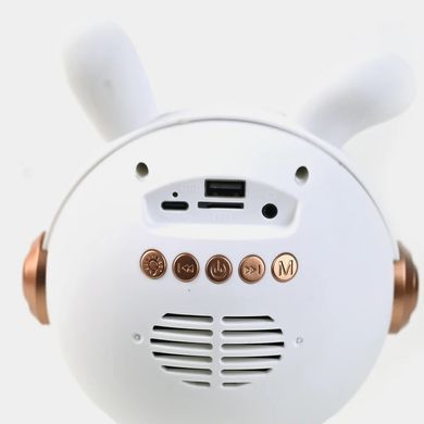 Караоке с микрофоном и колонкой (Bluetooth, LED подсветка) GMJ 9821