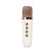 Караоке с микрофоном и колонкой (Bluetooth, LED подсветка) GMJ 9821