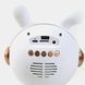 Караоке с микрофоном и колонкой (Bluetooth, LED подсветка) GMJ 9821