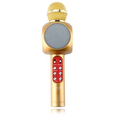 Дитячий портативний бездротовий караоке мікрофон WSTER WS-1816 з блютуз (Bluetooth) динаміком та FM-радіо