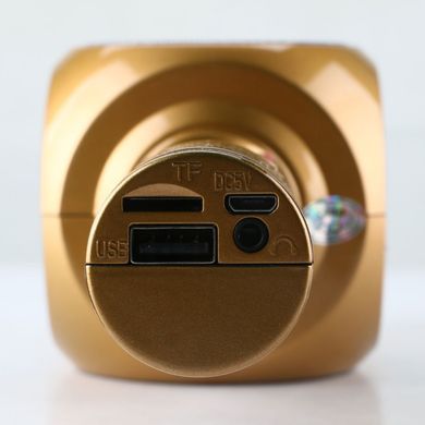 Дитячий портативний бездротовий караоке мікрофон WSTER WS-1816 з блютуз (Bluetooth) динаміком та FM-радіо