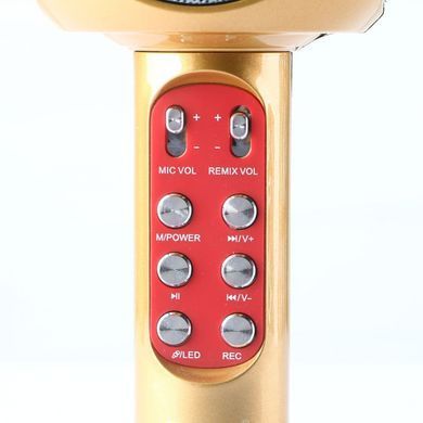 Дитячий портативний бездротовий караоке мікрофон WSTER WS-1816 з блютуз (Bluetooth) динаміком та FM-радіо
