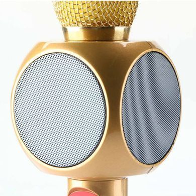 Дитячий портативний бездротовий караоке мікрофон WSTER WS-1816 з блютуз (Bluetooth) динаміком та FM-радіо