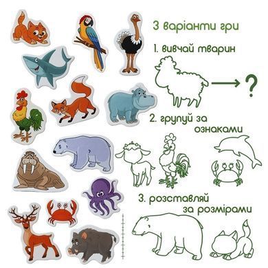 Набір магнітів Magdum Big Magnets Animals (40 магнітів) ML4031-16