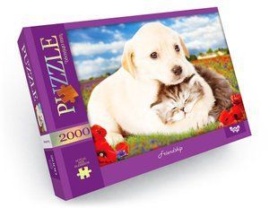Класичні пазли 2000 елементів с.1 "Friendship" Danko Toys C2000-01-09