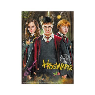 Пазл Medium-S, Harry Potter. Гарри и друзья, Dodo (250 дет.) 200498