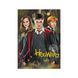 Пазл Medium-S, Harry Potter. Гарри и друзья, Dodo (250 дет.) 200498