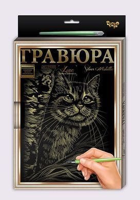 Набір Гравюра А4 LUXE з рамкою L-GrA4-02-01z,02z...18z Danko Toys малювання пером творчість для дітей дряпка