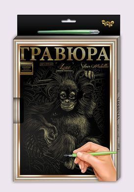 Набір Гравюра А4 LUXE з рамкою L-GrA4-02-01z,02z...18z Danko Toys малювання пером творчість для дітей дряпка
