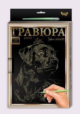 Набір Гравюра А4 LUXE з рамкою L-GrA4-02-01z,02z...18z Danko Toys малювання пером творчість для дітей дряпка