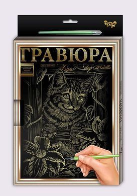 Набір Гравюра А4 LUXE з рамкою L-GrA4-02-01z,02z...18z Danko Toys малювання пером творчість для дітей дряпка