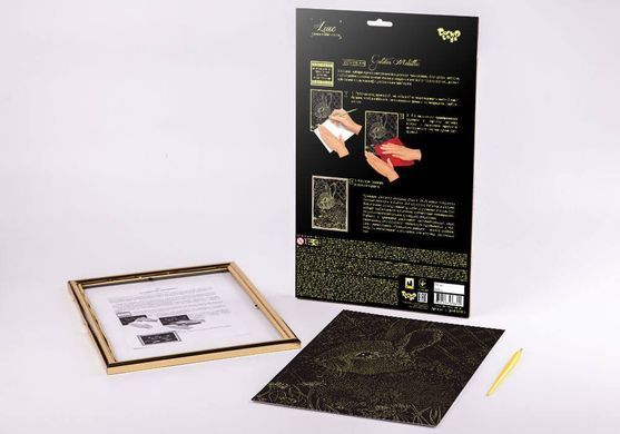 Набір Гравюра А4 LUXE з рамкою L-GrA4-02-01z,02z...18z Danko Toys малювання пером творчість для дітей дряпка