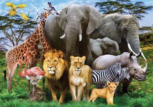 Пазл 1000 ел. с.10 №9 ANIMAL PLANET Danko Toys С1000-10-09