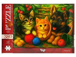 Класичний пазл 380 ел. с.7 "Friendship" Danko Toys C380-07-09