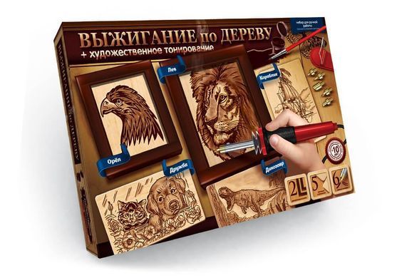 Выжигание по дереву&nbsp;Danko Toys WD-01-01U пирография набор для детского креативного творчества 6 насадок краска