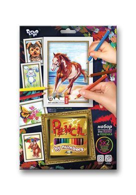 Картина за номерами Pencil by numbers PBN-01-01 Danko toys заготовка олівець креатив творчість для дітей