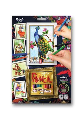 Картина за номерами Pencil by numbers PBN-01-01 Danko toys заготовка олівець креатив творчість для дітей