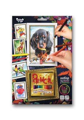 Картина за номерами Pencil by numbers PBN-01-01 Danko toys заготовка олівець креатив творчість для дітей
