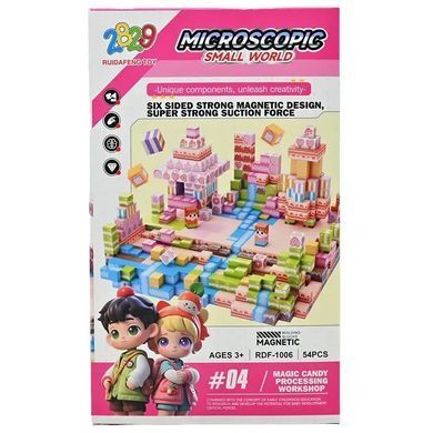 Детский магнитный конструктор Candy Microscopic Small World (54 элемента) RDF 1006