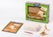 Набор для проведения раскопок DINO EXCAVATION Danko Toys DEX-01-04 Скелеты динозавров детская развивающая игра