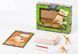 Набор для проведения раскопок DINO EXCAVATION Danko Toys DEX-01-04 Скелеты динозавров детская развивающая игра