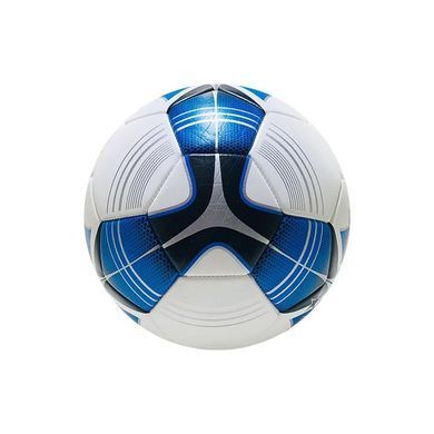 М'яч футбольний 450 г, розмір 5 (PVC) 9072