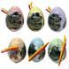 Креативна творчість для проведення розкопок Dino Paleontology. EGG, Danko Toys DP-02-01