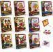 Набір творчості PUNCH NEEDLE (килимова вишивка) Danko Toys PN-01-01,02,03,04,05...10