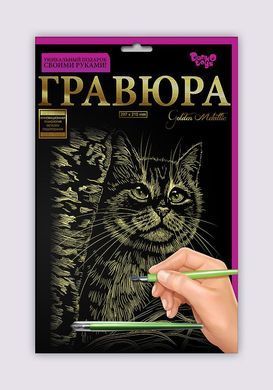 Набір для творчості Гравюра A4 Danko Toys Гра4-02-01 метал дитячий креатив для дітей