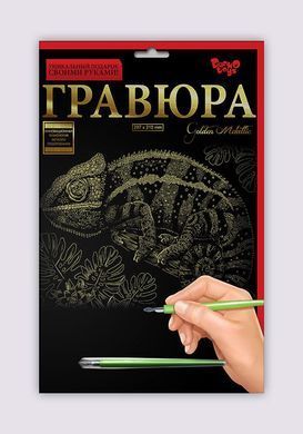 Набір для творчості Гравюра A4 Danko Toys Гра4-02-01 метал дитячий креатив для дітей