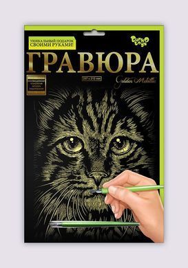 Набір для творчості Гравюра A4 Danko Toys Гра4-02-01 метал дитячий креатив для дітей