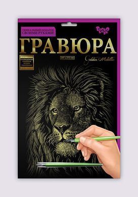 Набір для творчості Гравюра A4 Danko Toys Гра4-02-01 метал дитячий креатив для дітей