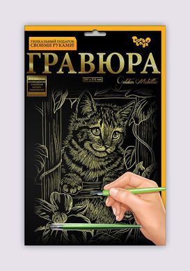 Набір для творчості Гравюра A4 Danko Toys Гра4-02-01 метал дитячий креатив для дітей