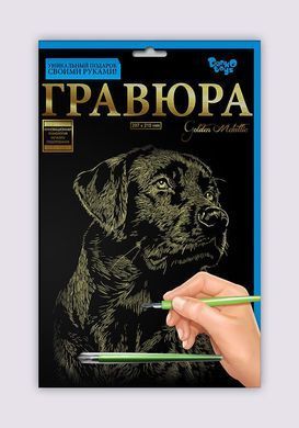 Набір для творчості Гравюра A4 Danko Toys Гра4-02-01 метал дитячий креатив для дітей