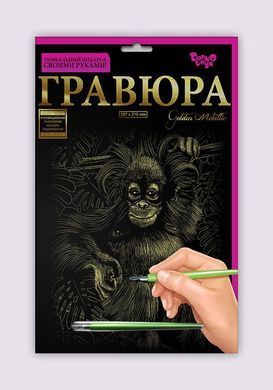 Набір для творчості Гравюра A4 Danko Toys Гра4-02-01 метал дитячий креатив для дітей