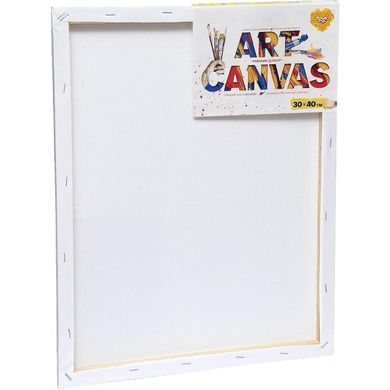 Полотно (холст) для рисования Art Canvas Danko Toys AC-30х40