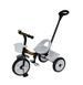 Велосипед детский трехколесный с родительской ручкой TILLY MOTION T-320