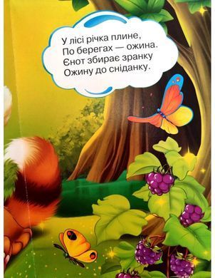 Книга Дружилка. Веселий єнот, Манго-book (картонка) 9789664993569/7
