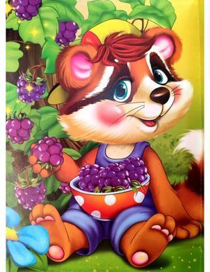 Книга Дружилка. Веселий єнот, Манго-book (картонка) 9789664993569/7
