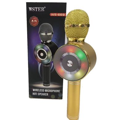 Детский портативный беспроводной караоке микрофон WSTER WS-669 с блютуз (Bluetooth) динамиком и FM-радио