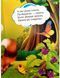 Книга Дружилка. Веселий єнот, Манго-book (картонка) 9789664993569/7